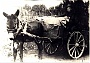 La mussa del strassaro! Nella foto del 1930 il venditore di mercerie Zampieri Serafino di Tombelle (Giuseppe Bepi Daniele)